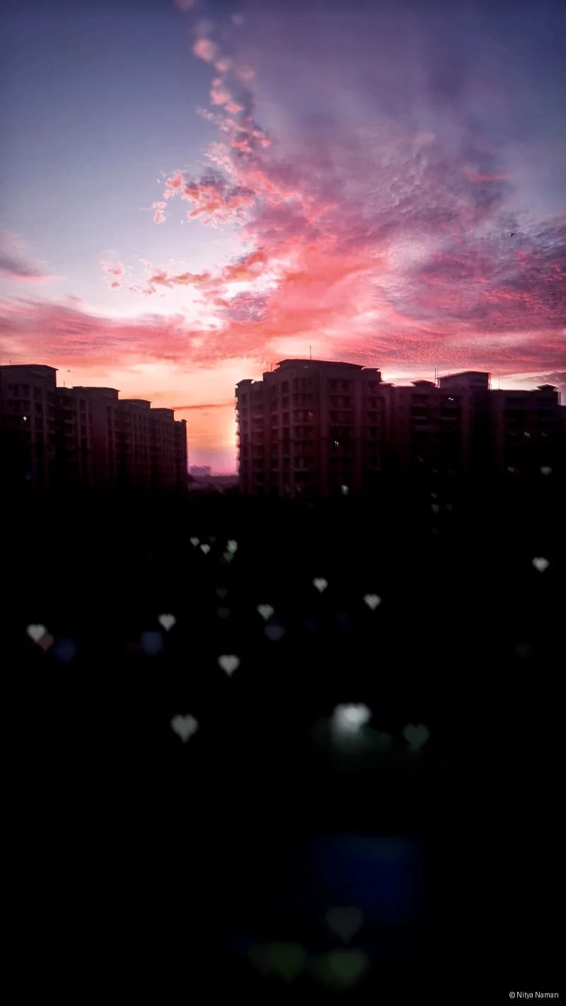 9e3b6a4d
